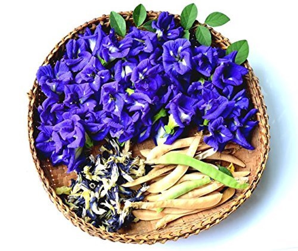 Hoa đậu biếc – Vị thảo dược quý cực kì tốt cho sức khỏe