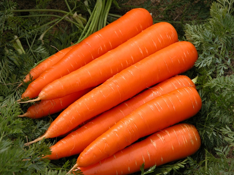 Cà rốt thực phẩm không tốt cho huyết áp thấp